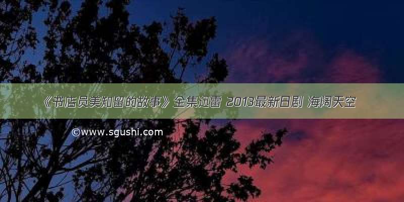 《书店员美知留的故事》全集迅雷 2013最新日剧 海阔天空