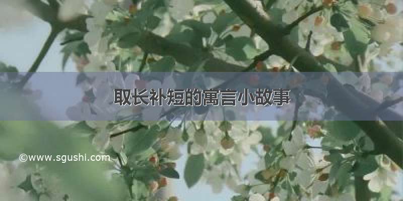 取长补短的寓言小故事