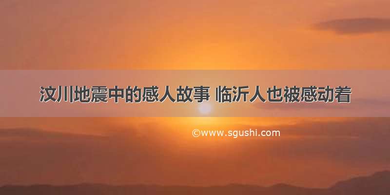 汶川地震中的感人故事 临沂人也被感动着