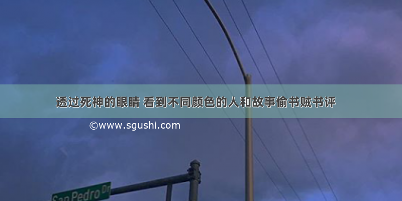 透过死神的眼睛 看到不同颜色的人和故事偷书贼书评