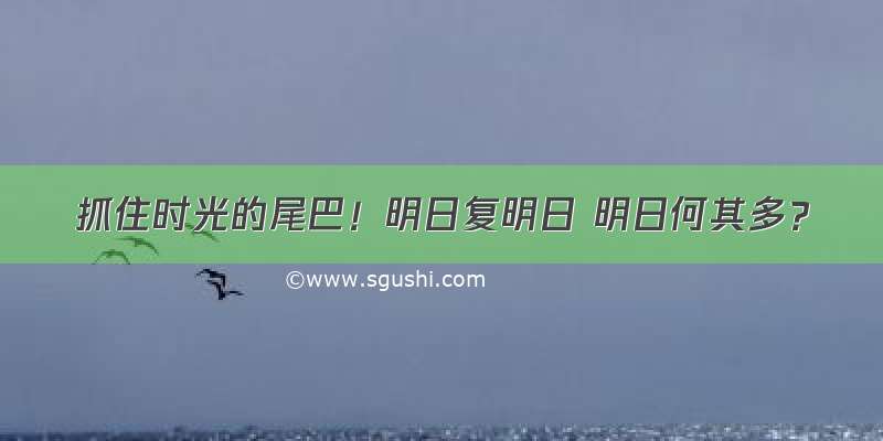 抓住时光的尾巴！明日复明日 明日何其多？