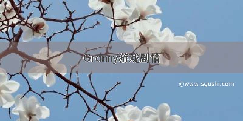 Granny游戏剧情