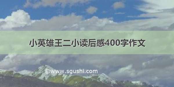 小英雄王二小读后感400字作文