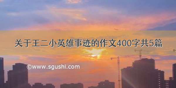 关于王二小英雄事迹的作文400字共5篇