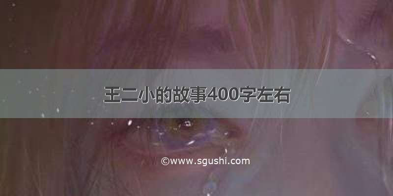 王二小的故事400字左右