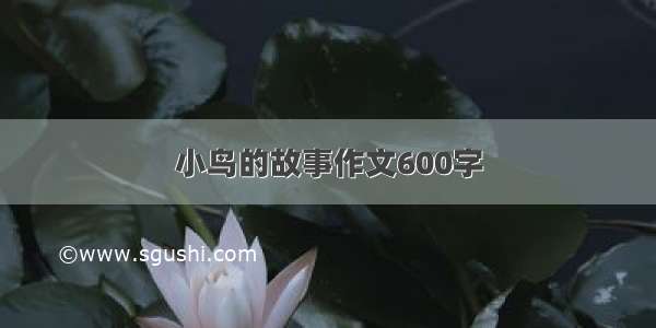 小鸟的故事作文600字