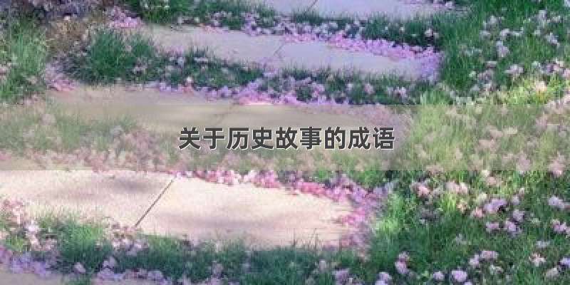 关于历史故事的成语