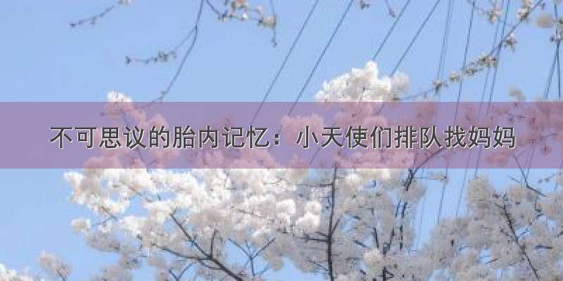 不可思议的胎内记忆：小天使们排队找妈妈