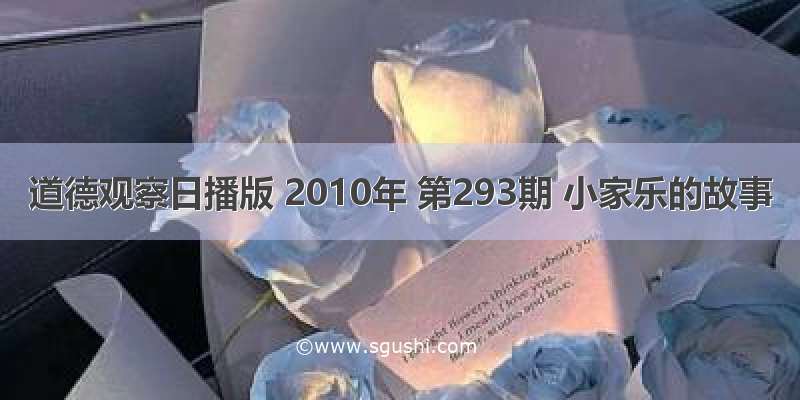 道德观察日播版 2010年 第293期 小家乐的故事