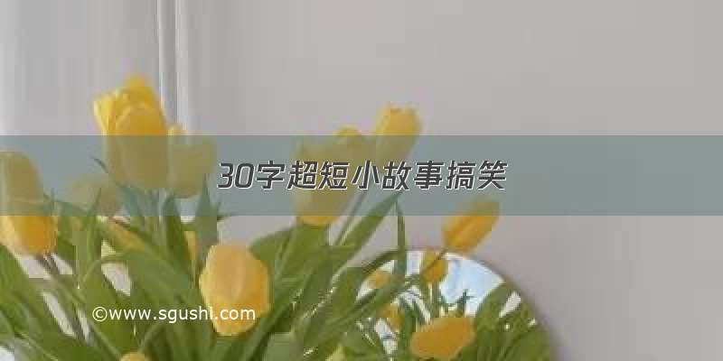 30字超短小故事搞笑