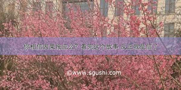 你相信因果报应么？看完这个故事 反正我是信了