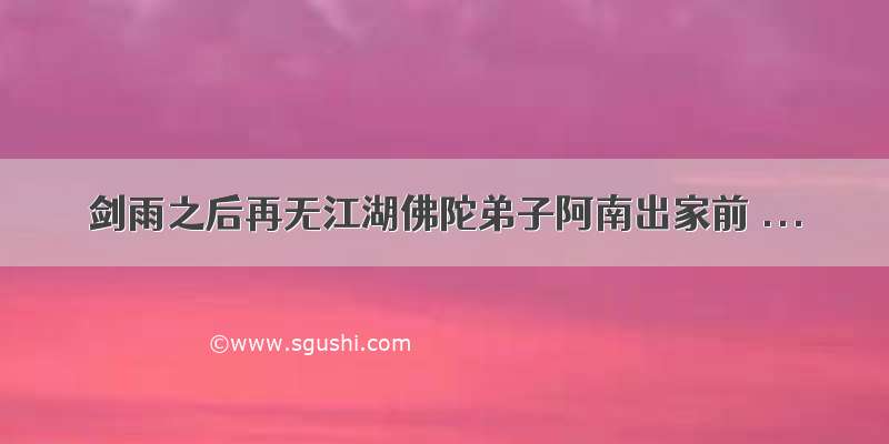 剑雨之后再无江湖佛陀弟子阿南出家前 ...