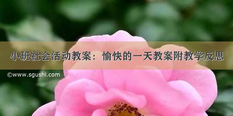 小班社会活动教案：愉快的一天教案附教学反思