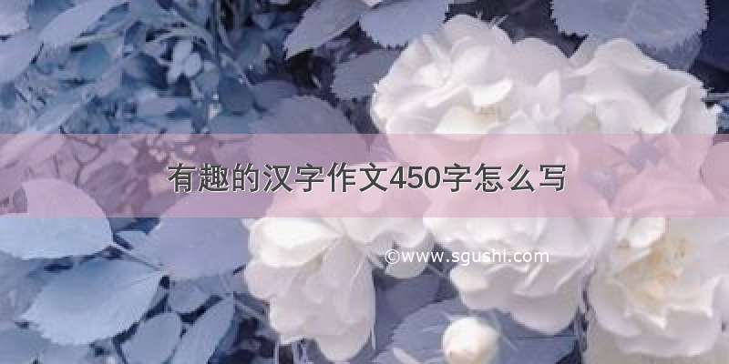 有趣的汉字作文450字怎么写