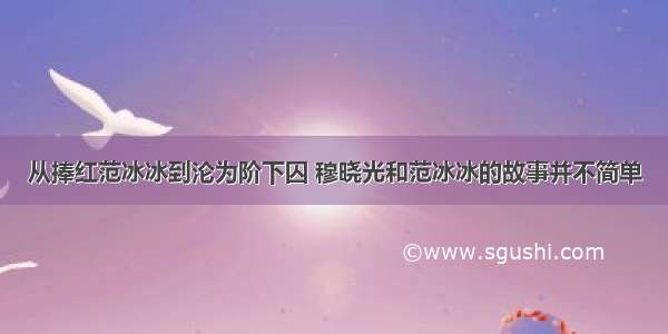 从捧红范冰冰到沦为阶下囚 穆晓光和范冰冰的故事并不简单