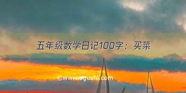 五年级数学日记100字：买菜