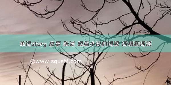 单词story 故事 陈述 短篇小说的词源 词根和词缀