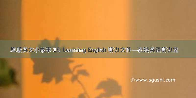 原版英文小故事 15. Learning English 听力文件—在线英语听力室