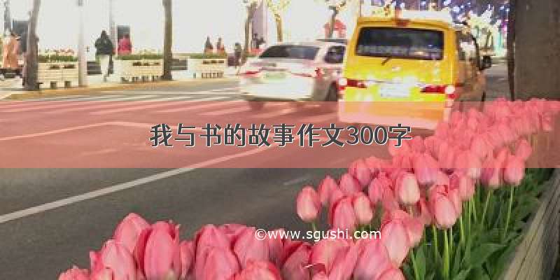 我与书的故事作文300字