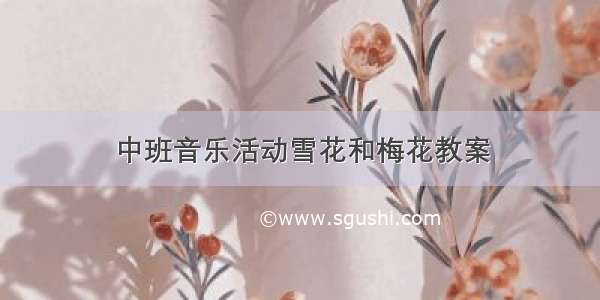 中班音乐活动雪花和梅花教案