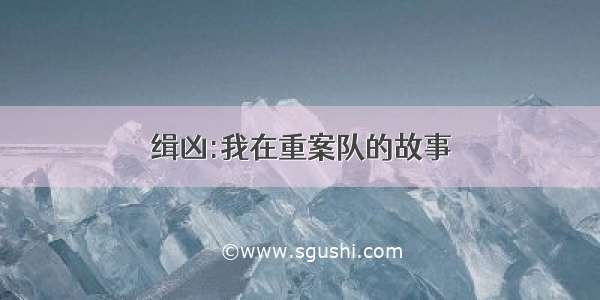 缉凶:我在重案队的故事