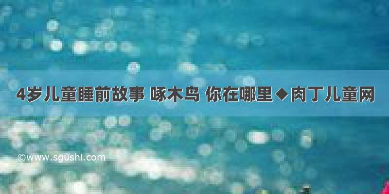 4岁儿童睡前故事 啄木鸟 你在哪里◆肉丁儿童网