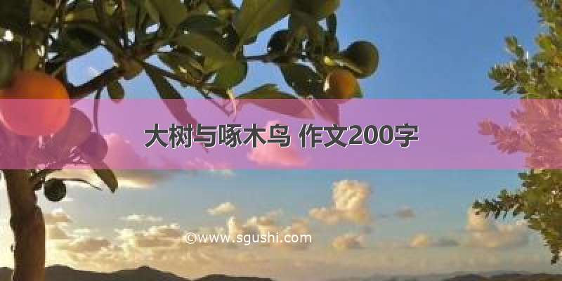 大树与啄木鸟 作文200字