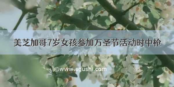 美芝加哥7岁女孩参加万圣节活动时中枪