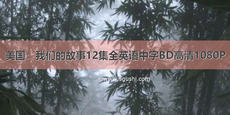 美国：我们的故事12集全英语中字BD高清1080P