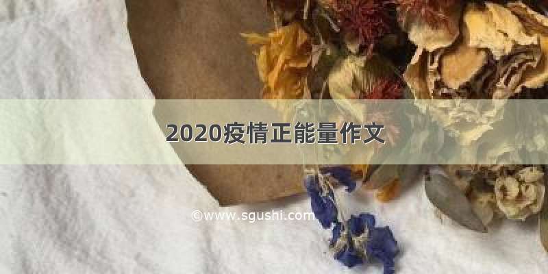 2020疫情正能量作文