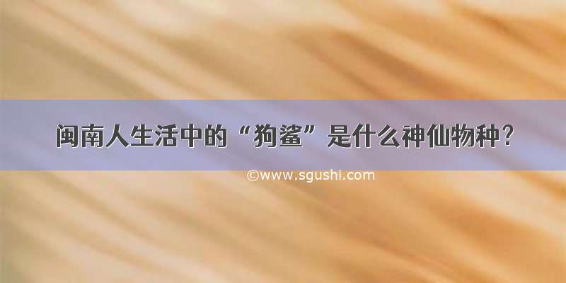 闽南人生活中的“狗鲨”是什么神仙物种？