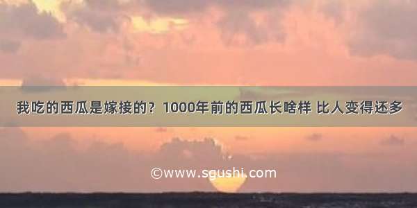 我吃的西瓜是嫁接的？1000年前的西瓜长啥样 比人变得还多