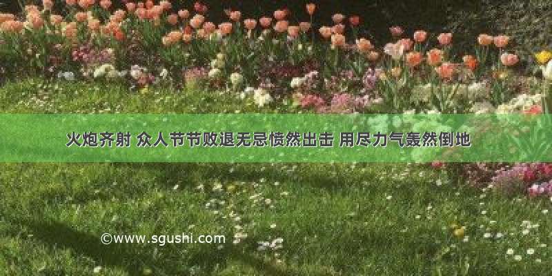 火炮齐射 众人节节败退无忌愤然出击 用尽力气轰然倒地