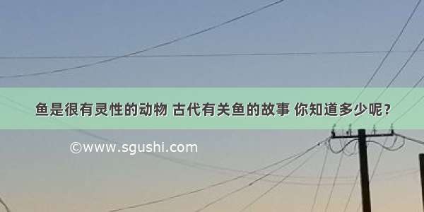 鱼是很有灵性的动物 古代有关鱼的故事 你知道多少呢？