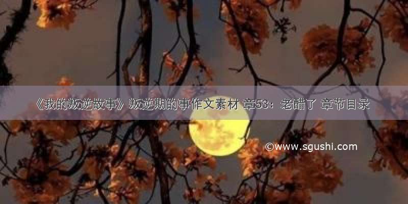 《我的叛逆故事》叛逆期的事作文素材 章53：老醋了 章节目录