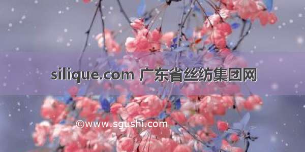 silique.com 广东省丝纺集团网