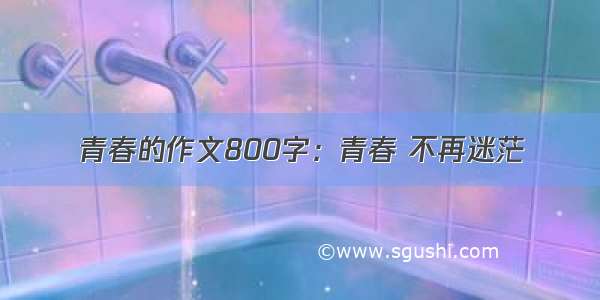 青春的作文800字：青春 不再迷茫