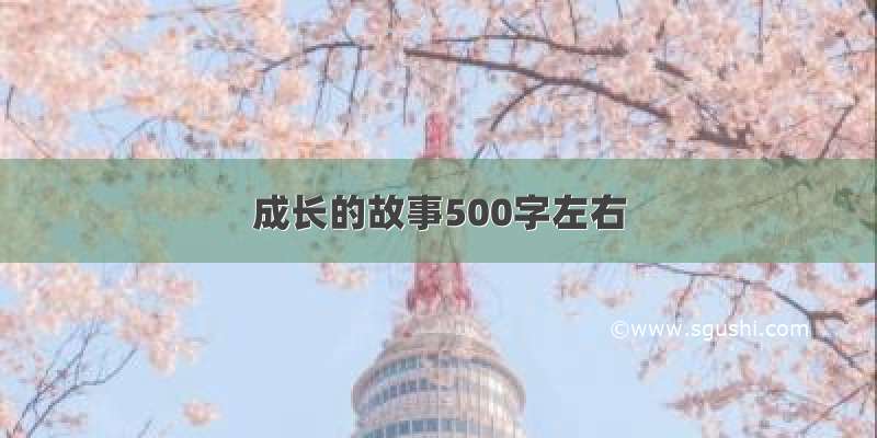 成长的故事500字左右