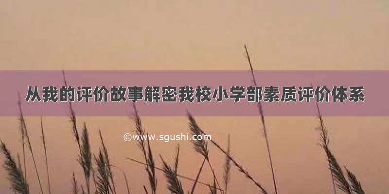 从我的评价故事解密我校小学部素质评价体系