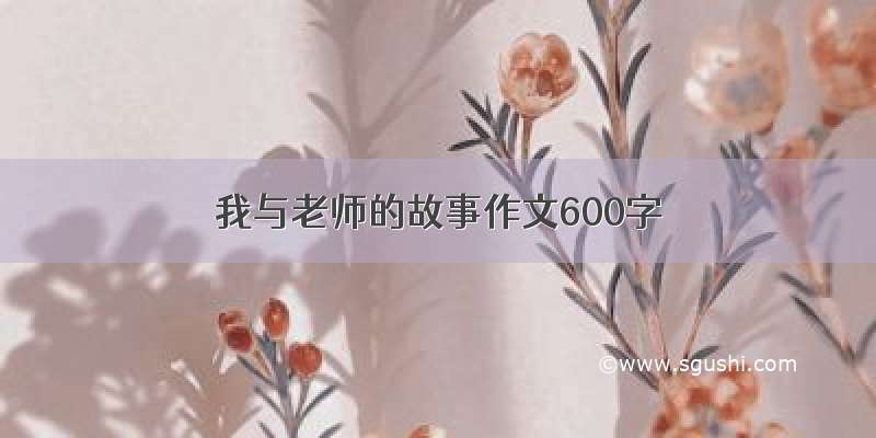 我与老师的故事作文600字