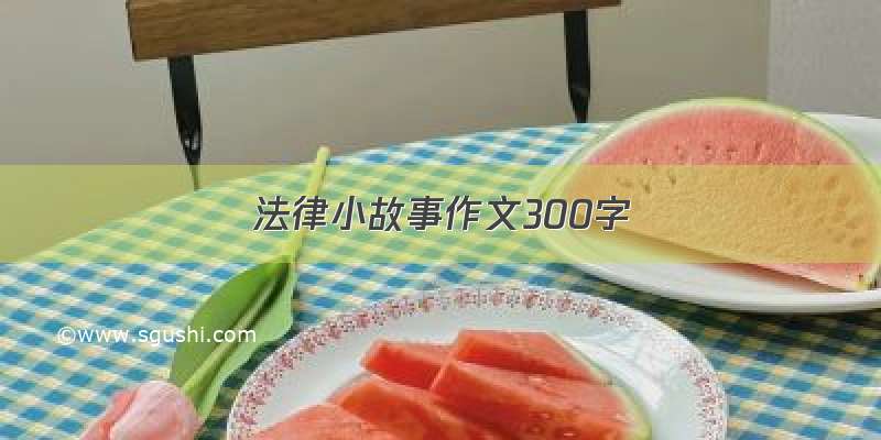 法律小故事作文300字