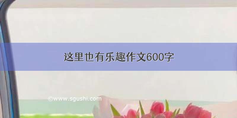 这里也有乐趣作文600字