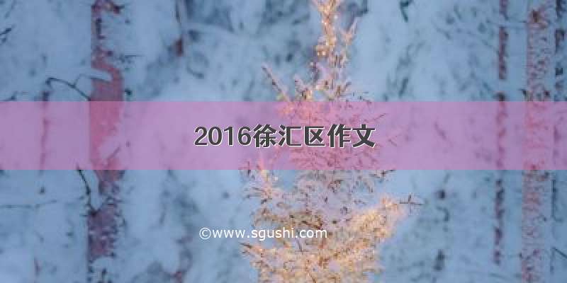 2016徐汇区作文