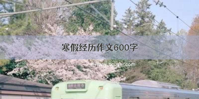 寒假经历作文600字