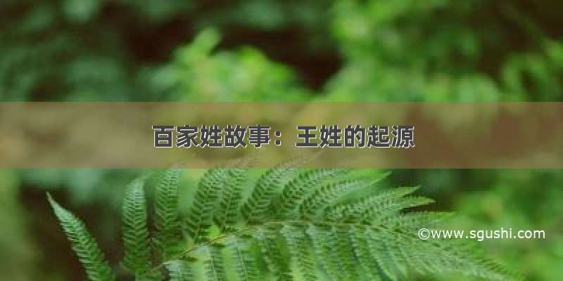 百家姓故事：王姓的起源