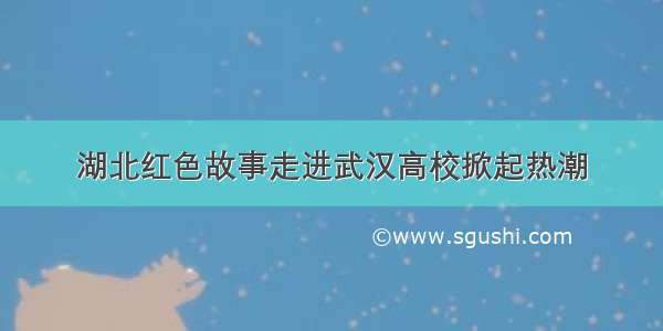 湖北红色故事走进武汉高校掀起热潮