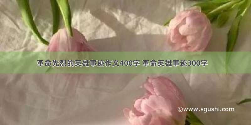 革命先烈的英雄事迹作文400字 革命英雄事迹300字