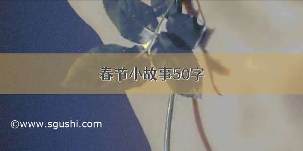 春节小故事50字