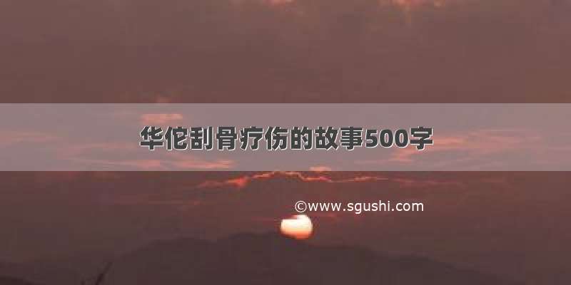 华佗刮骨疗伤的故事500字