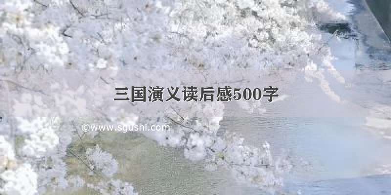 三国演义读后感500字